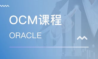 上海OCM课程价格与Oracle认证培训指南 哪家机构更值得选择？